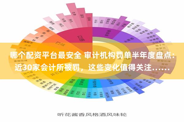 哪个配资平台最安全 审计机构罚单半年度盘点：近30家会计所被罚，这些变化值得关注……