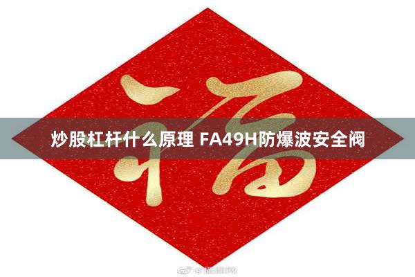 炒股杠杆什么原理 FA49H防爆波安全阀