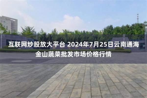 互联网炒股放大平台 2024年7月25日云南通海金山蔬菜批发市场价格行情