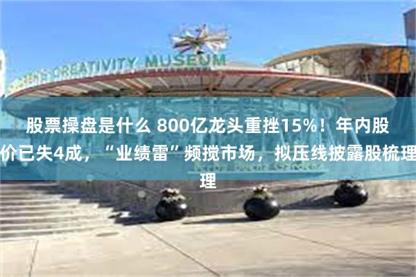 股票操盘是什么 800亿龙头重挫15%！年内股价已失4成，“业绩雷”频搅市场，拟压线披露股梳理