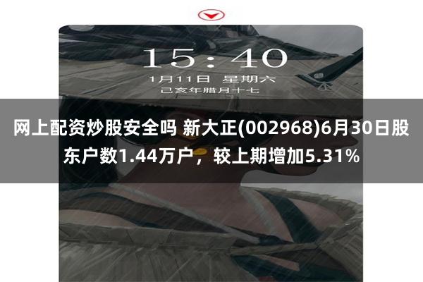 网上配资炒股安全吗 新大正(002968)6月30日股东户数1.44万户，较上期增加5.31%