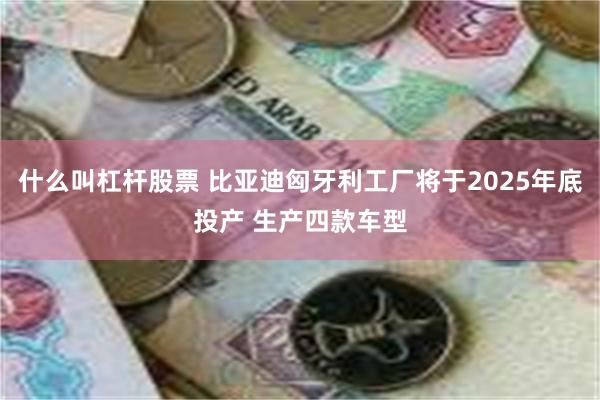 什么叫杠杆股票 比亚迪匈牙利工厂将于2025年底投产 生产四款车型