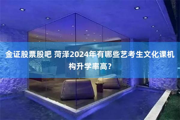 金证股票股吧 菏泽2024年有哪些艺考生文化课机构升学率高？