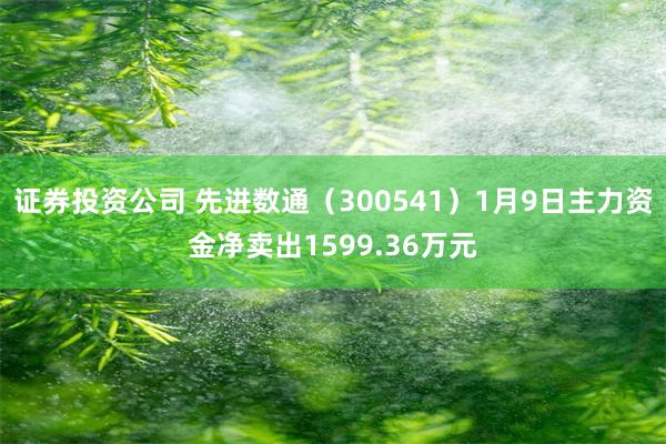 证券投资公司 先进数通（300541）1月9日主力资金净卖出1599.36万元