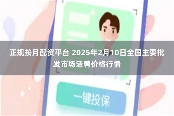 正规按月配资平台 2025年2月10日全国主要批发市场活鸭价格行情