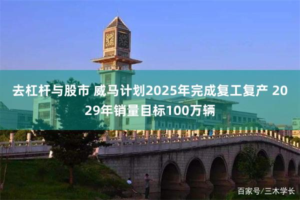 去杠杆与股市 威马计划2025年完成复工复产 2029年销量目标100万辆